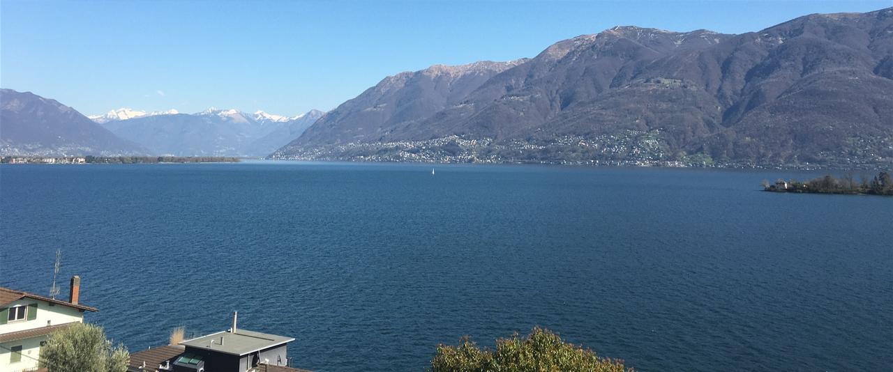 Residenza Bettina Bnb & Ferienwohnungen Ronco sopra Ascona Eksteriør bilde